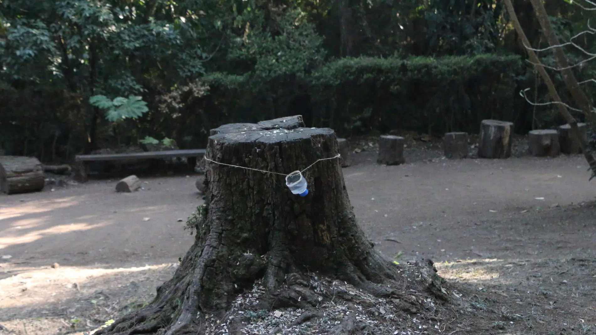 Bebederos en el Cerro de Macuiltépetl